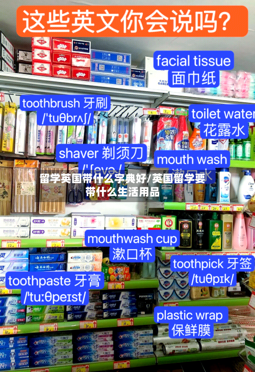 留学英国带什么字典好/英国留学要带什么生活用品-第2张图片