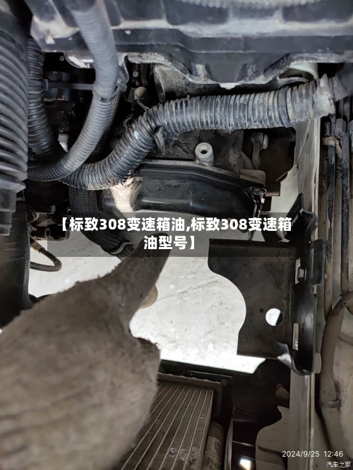 【标致308变速箱油,标致308变速箱油型号】-第3张图片