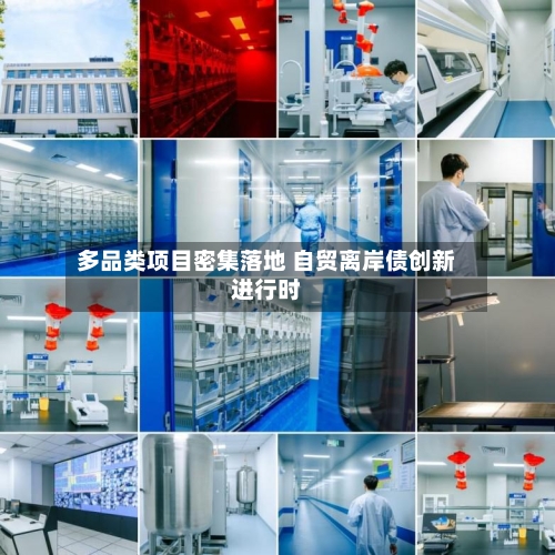 多品类项目密集落地 自贸离岸债创新进行时