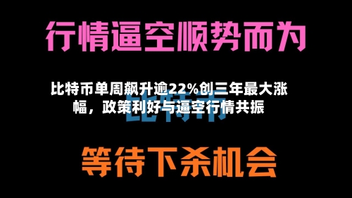 比特币单周飙升逾22%创三年最大涨幅，政策利好与逼空行情共振-第3张图片