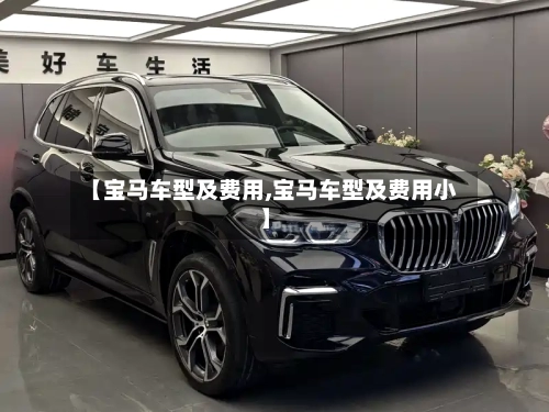 【宝马车型及费用,宝马车型及费用小】