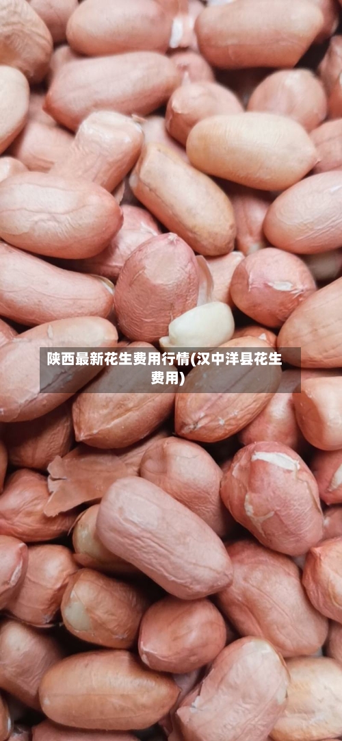 陕西最新花生费用行情(汉中洋县花生费用)