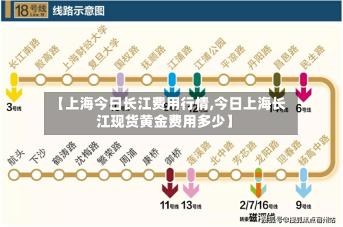 【上海今日长江费用行情,今日上海长江现货黄金费用多少】
