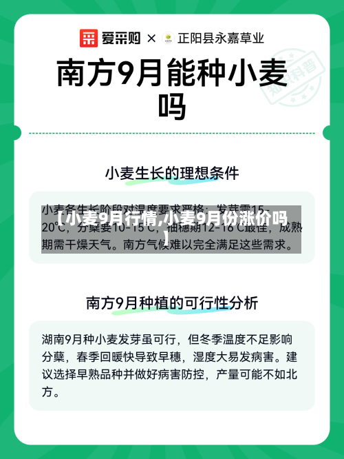 【小麦9月行情,小麦9月份涨价吗】-第3张图片