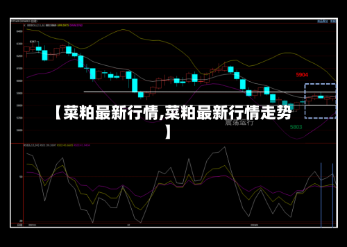 【菜粕最新行情,菜粕最新行情走势】-第3张图片