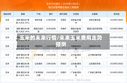 玉米的未来行情/未来玉米费用走势预测-第2张图片