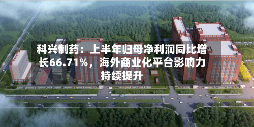 科兴制药：上半年归母净利润同比增长66.71%	，海外商业化平台影响力持续提升-第2张图片
