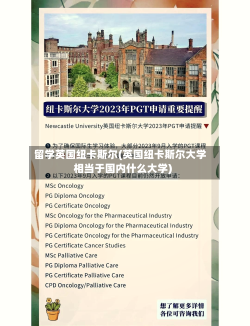 留学英国纽卡斯尔(英国纽卡斯尔大学相当于国内什么大学)