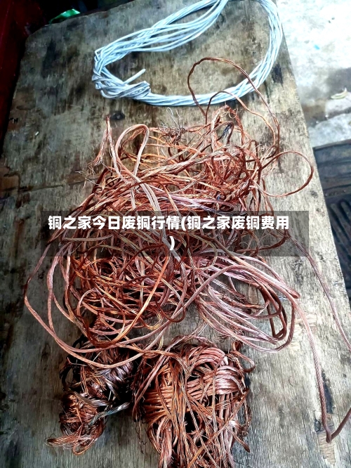 铜之家今日废铜行情(铜之家废铜费用)