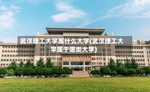 武汉理工大学属什么大学(武汉理工大学属于哪类大学)-第2张图片