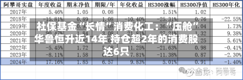 社保基金“长情”消费化工：“压舱”华鲁恒升近14年 持仓超2年的消费股达6只-第2张图片