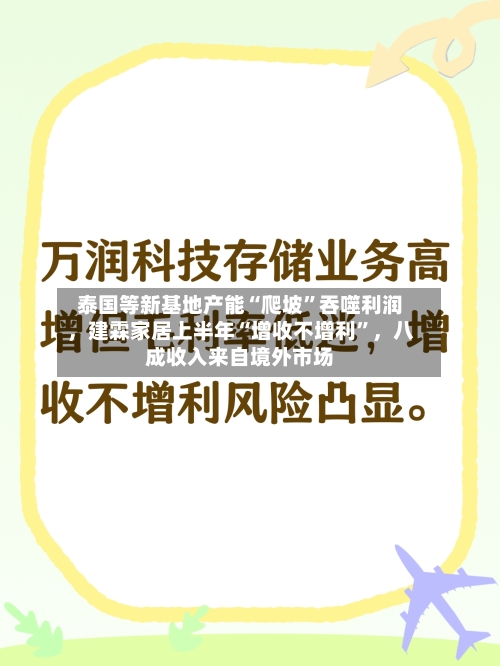 泰国等新基地产能“爬坡	”吞噬利润，建霖家居上半年“增收不增利”，八成收入来自境外市场-第2张图片