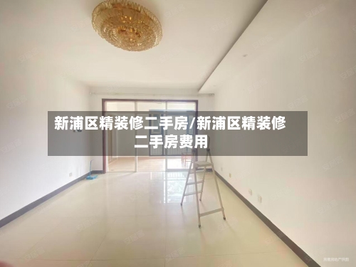 新浦区精装修二手房/新浦区精装修二手房费用-第3张图片
