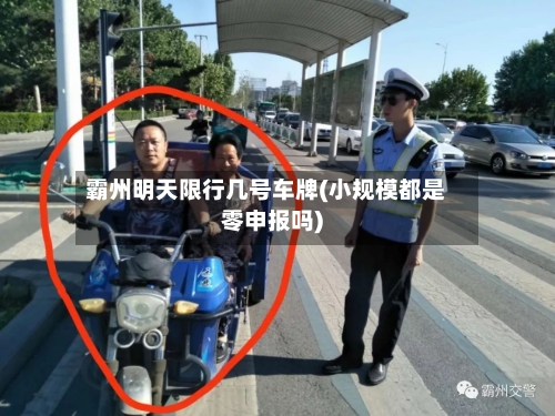 霸州明天限行几号车牌(小规模都是零申报吗)-第1张图片
