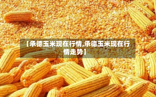 【承德玉米现在行情,承德玉米现在行情走势】-第3张图片