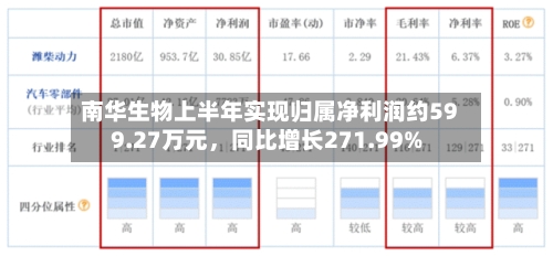南华生物上半年实现归属净利润约599.27万元，同比增长271.99%-第1张图片