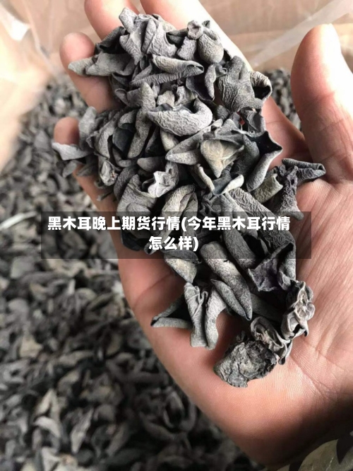 黑木耳晚上期货行情(今年黑木耳行情怎么样)
