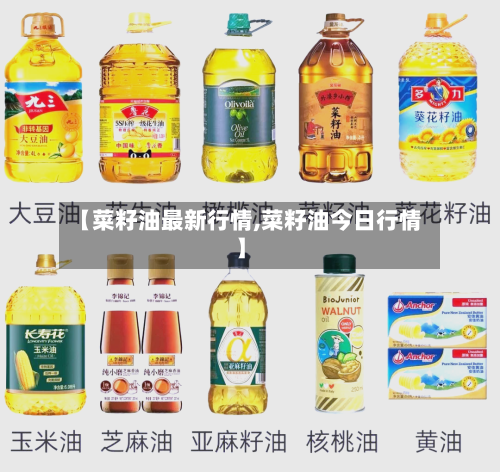 【菜籽油最新行情,菜籽油今日行情】