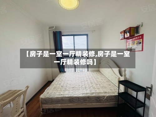 【房子是一室一厅精装修,房子是一室一厅精装修吗】-第3张图片