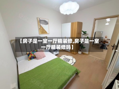 【房子是一室一厅精装修,房子是一室一厅精装修吗】-第2张图片