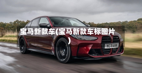 宝马新款车(宝马新款车标图片)-第2张图片