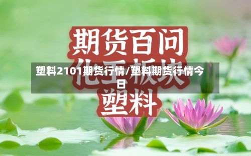 塑料2101期货行情/塑料期货行情今日