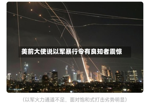 美前大使说以军暴行令有良知者震惊