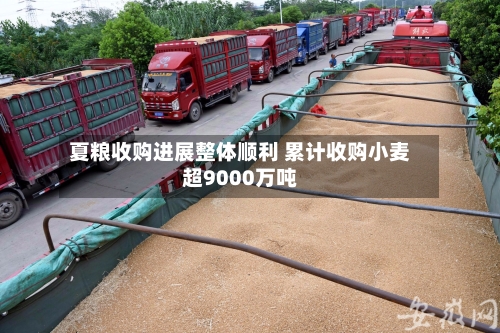 夏粮收购进展整体顺利 累计收购小麦超9000万吨