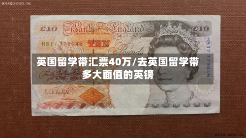 英国留学带汇票40万/去英国留学带多大面值的英镑-第3张图片
