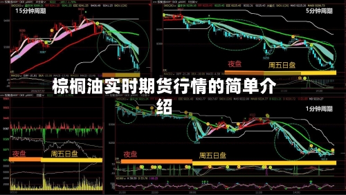 棕桐油实时期货行情的简单介绍