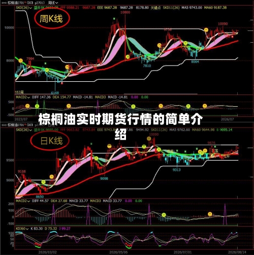 棕桐油实时期货行情的简单介绍-第2张图片