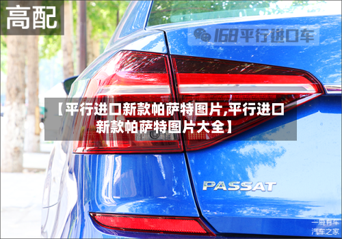 【平行进口新款帕萨特图片,平行进口新款帕萨特图片大全】