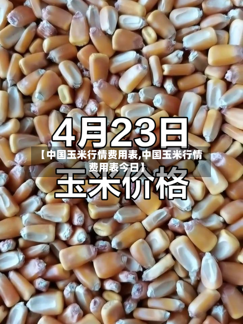 【中国玉米行情费用表,中国玉米行情费用表今日】