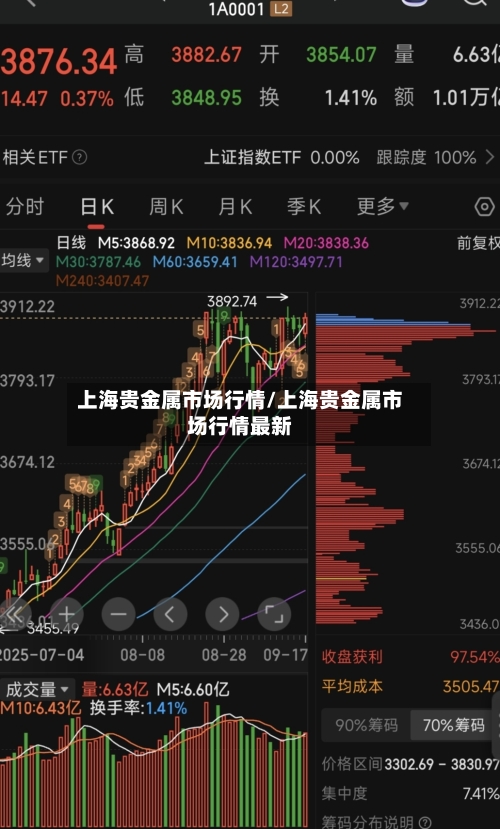 上海贵金属市场行情/上海贵金属市场行情最新-第3张图片