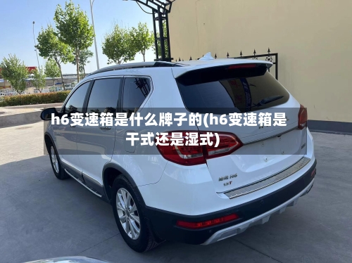 h6变速箱是什么牌子的(h6变速箱是干式还是湿式)-第2张图片