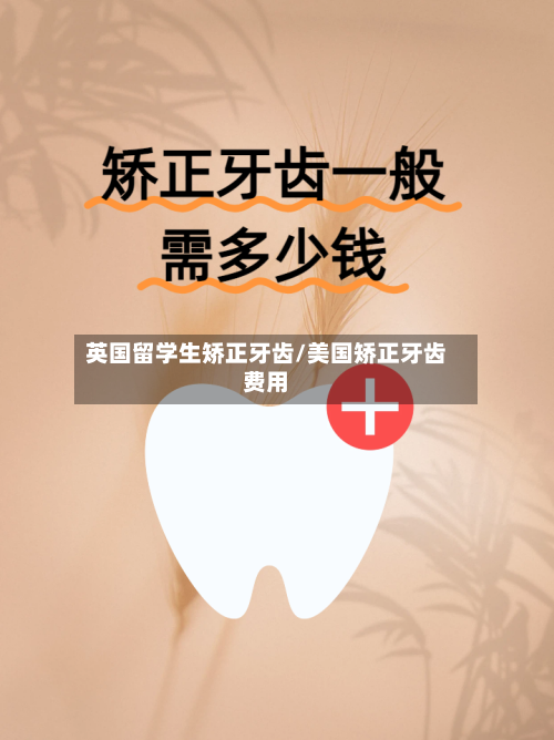 英国留学生矫正牙齿/美国矫正牙齿费用