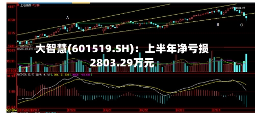 大智慧(601519.SH)：上半年净亏损2803.29万元