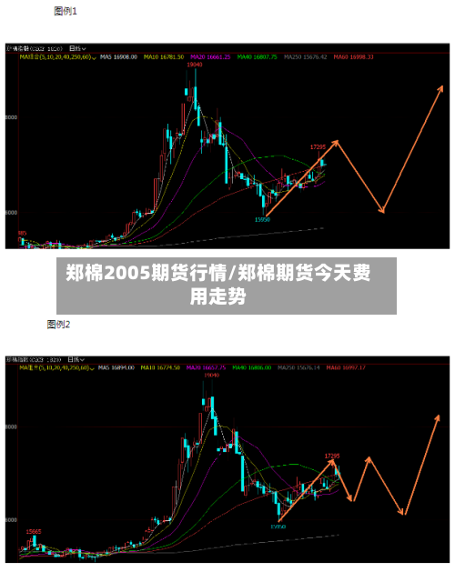郑棉2005期货行情/郑棉期货今天费用走势-第2张图片
