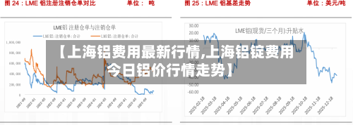 【上海铝费用最新行情,上海铝锭费用今日铝价行情走势】-第3张图片