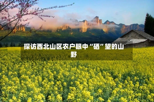 探访西北山区农户眼中“硒”望的山野-第3张图片