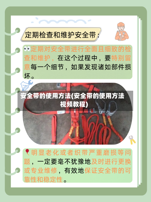 安全带的使用方法(安全带的使用方法视频教程)-第2张图片