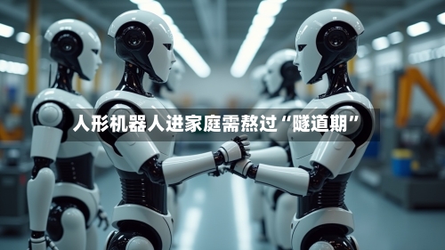 人形机器人进家庭需熬过“隧道期”-第2张图片