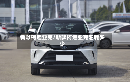 新款柯迪亚克/新款柯迪亚克油耗多少-第2张图片
