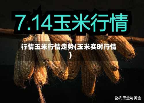 行情玉米行情走势(玉米实时行情)