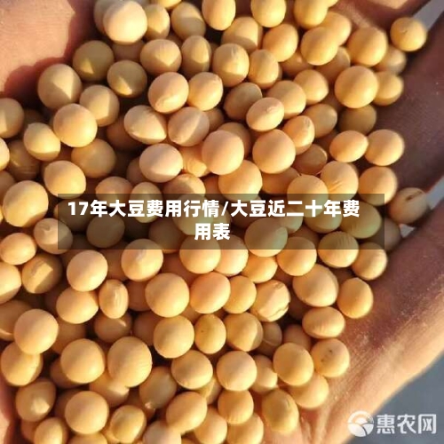 17年大豆费用行情/大豆近二十年费用表-第3张图片