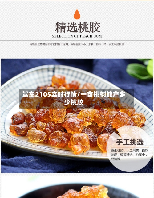 驾车2105实时行情/一亩桃树能产多少桃胶