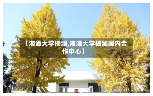 【湘潭大学杨澜,湘潭大学杨澜国内合作中心】-第3张图片
