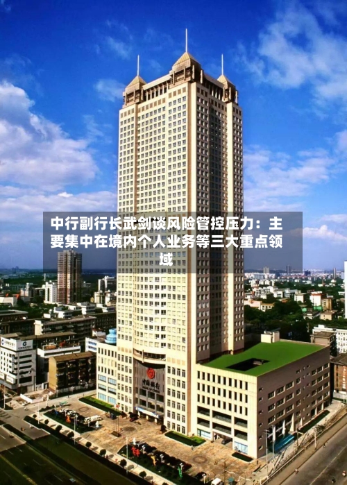 中行副行长武剑谈风险管控压力:主要集中在境内个人业务等三大重点领域-第3张图片