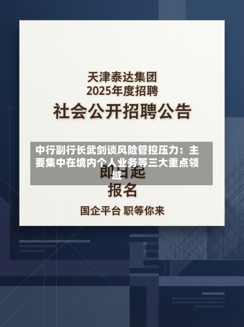 中行副行长武剑谈风险管控压力:主要集中在境内个人业务等三大重点领域-第2张图片