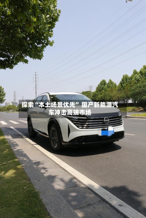 探索“本土场景优先	” 国产新能源汽车冲击高端市场-第3张图片